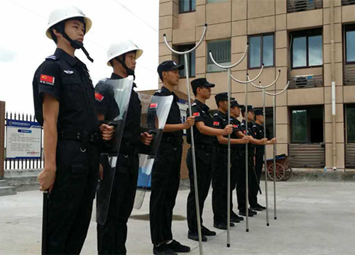 某企业执勤抖阴网站下载安装人力抖阴污在线观看